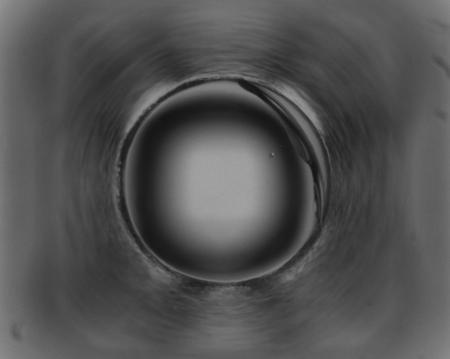 X0000093101093200709261225