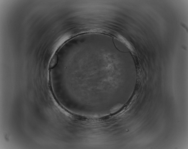 X0000093101095200709261225