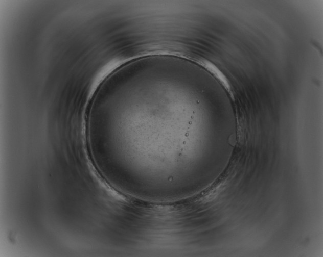 X0000093101096200709261225