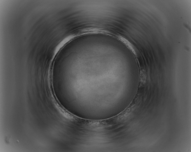 X0000093101098200709261225