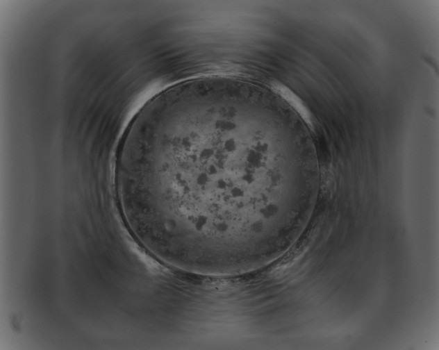 X0000093101099200709261225