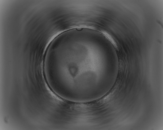 X0000093101100200709261225