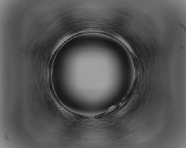 X0000093101101200709261225