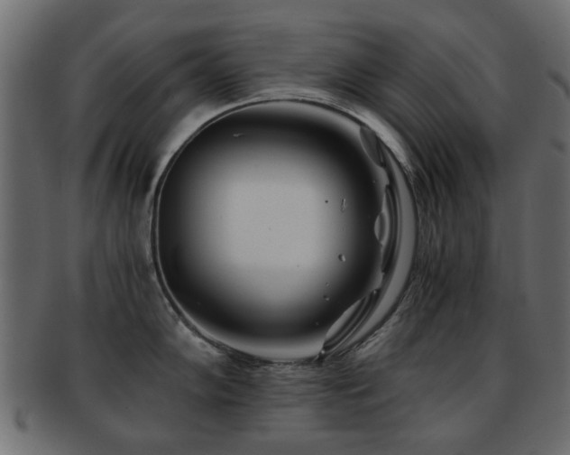 X0000093101102200709261225