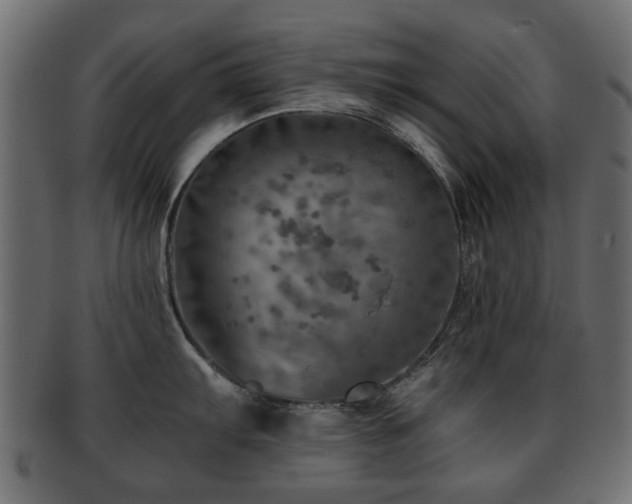 X0000093101103200709261225