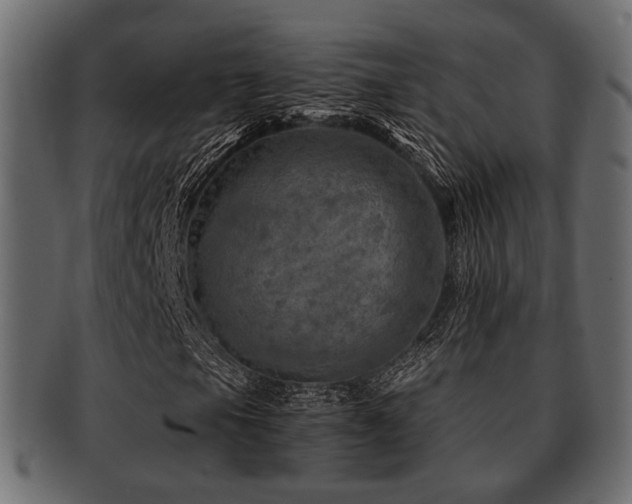 X0000093101105200709261225