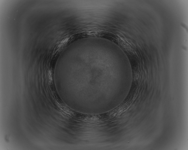 X0000093101106200709261225