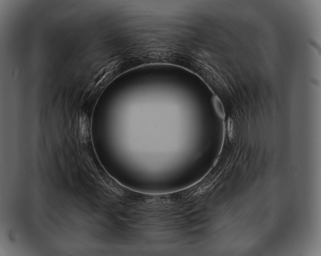 X0000093101107200709261225