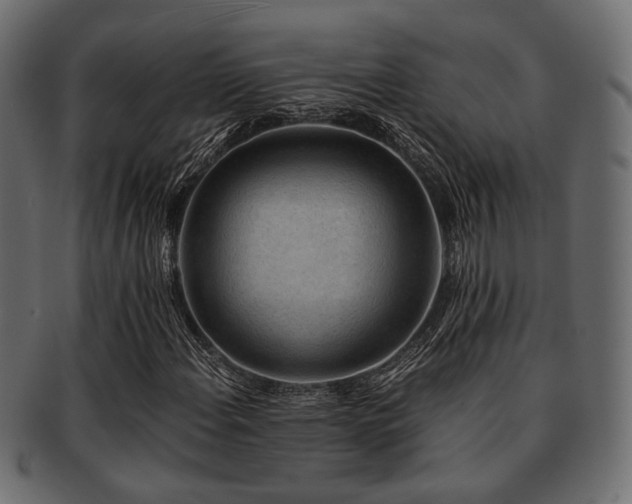X0000093101108200709261225
