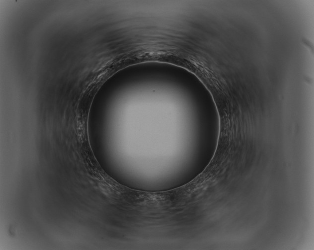 X0000093101109200709261225