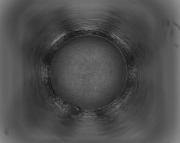 X0000093101110200709261225