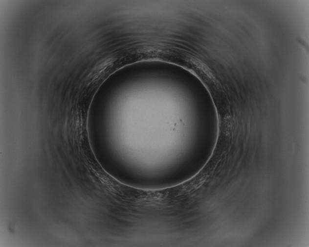 X0000093101111200709261225