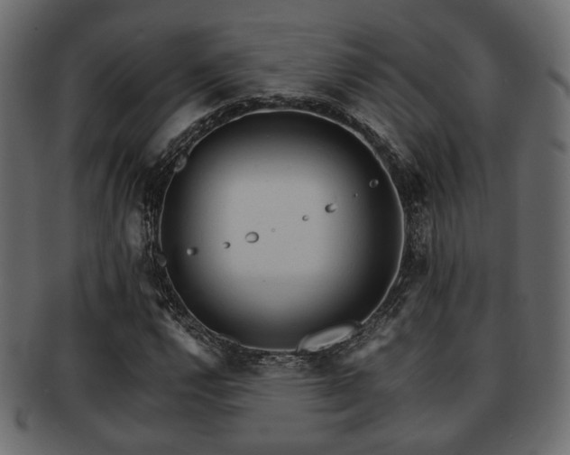 X0000093101112200709261225
