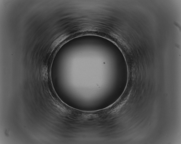 X0000093101113200709261225