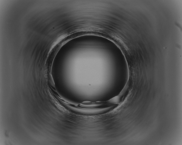 X0000093101114200709261225