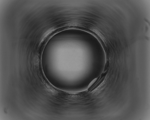 X0000093101115200709261225