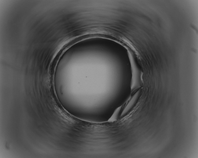 X0000093101116200709261225