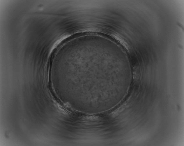 X0000093101117200709261225
