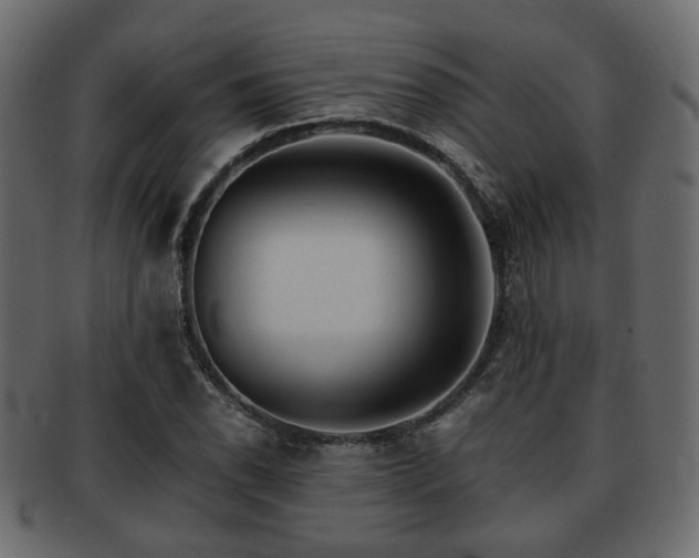 X0000093101118200709261225