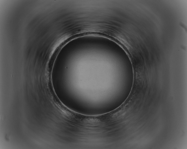 X0000093101119200709261225