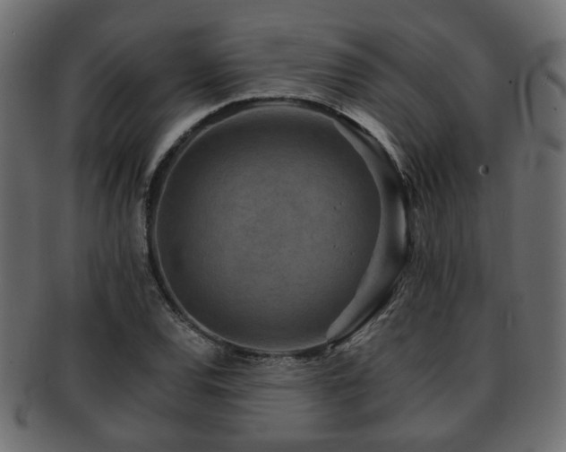 X0000093101120200709261225
