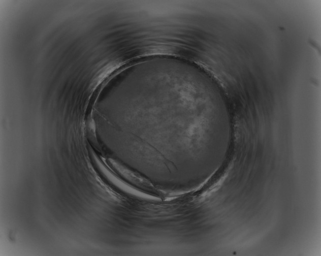 X0000093101121200709261225