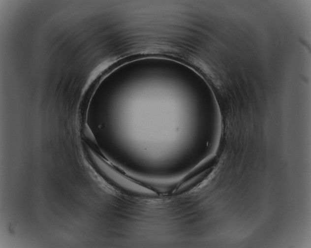 X0000093101122200709261225