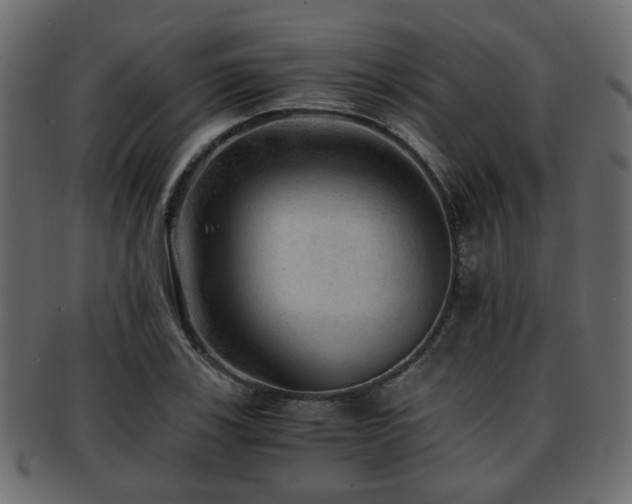 X0000093101123200709261225