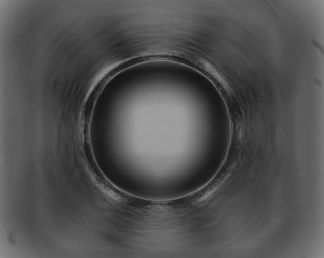 X0000093101124200709261225