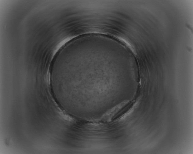 X0000093101125200709261225