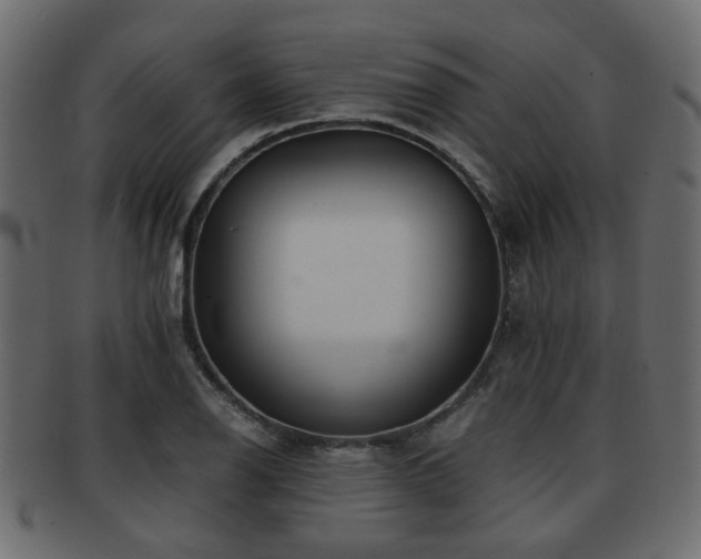 X0000093101126200709261225