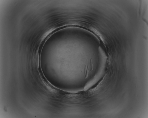 X0000093101127200709261225