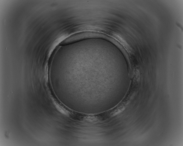 X0000093101128200709261225