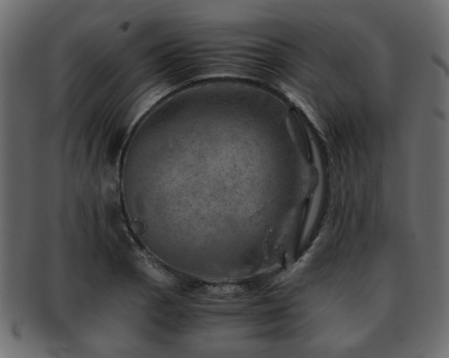 X0000093101129200709261225
