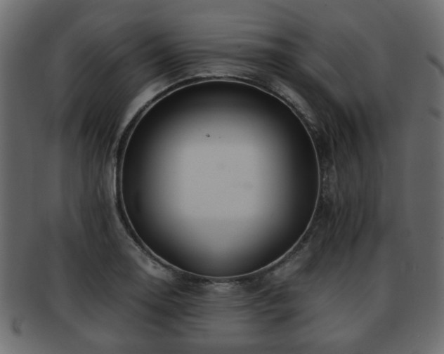X0000093101130200709261225