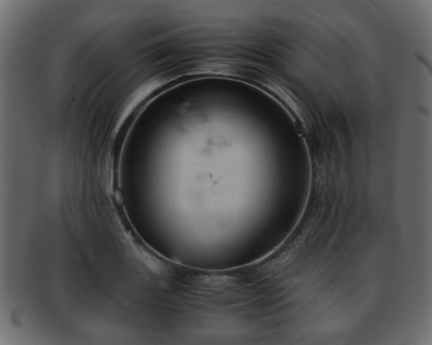 X0000093101131200709261225
