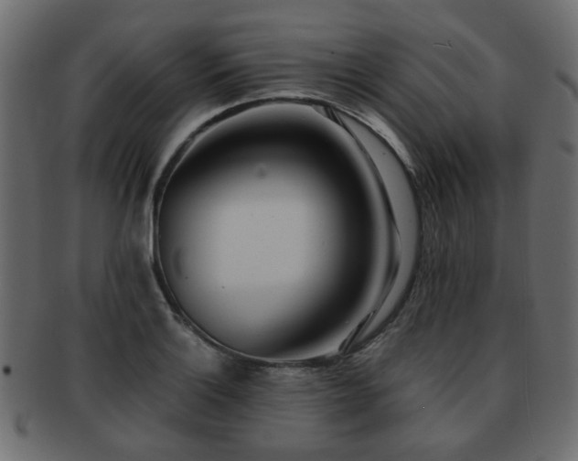 X0000093101132200709261225