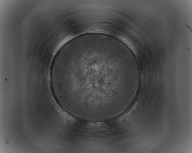X0000093101133200709261225