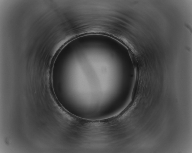 X0000093101134200709261225