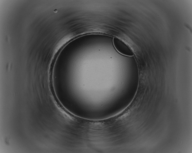 X0000093101135200709261225