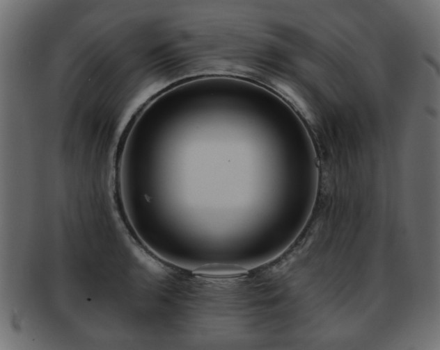 X0000093101136200709261225