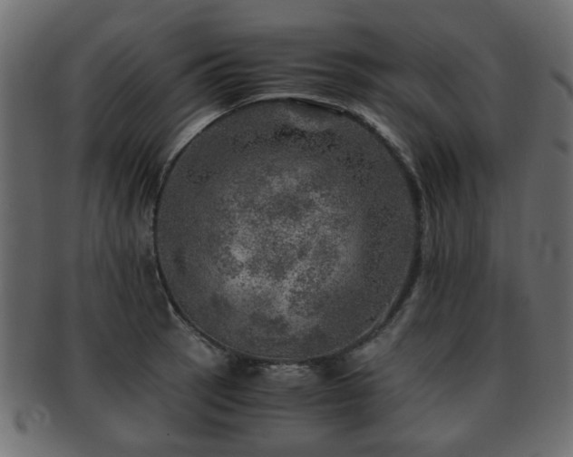 X0000093101137200709261225