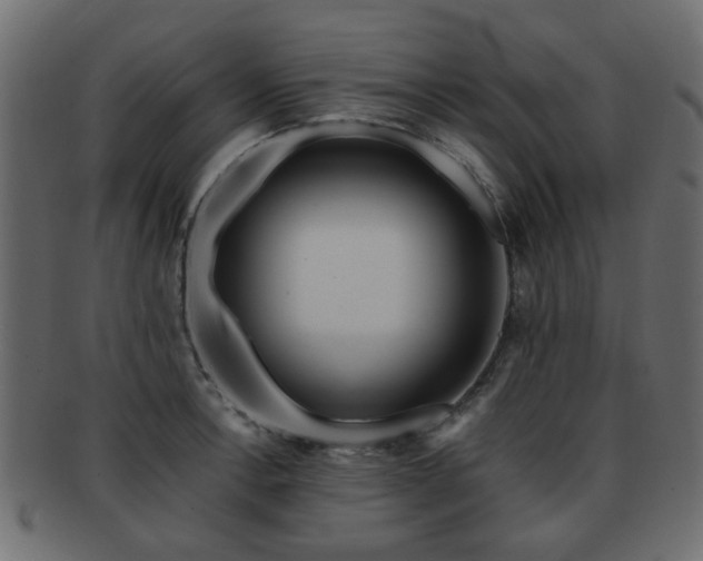 X0000093101138200709261225