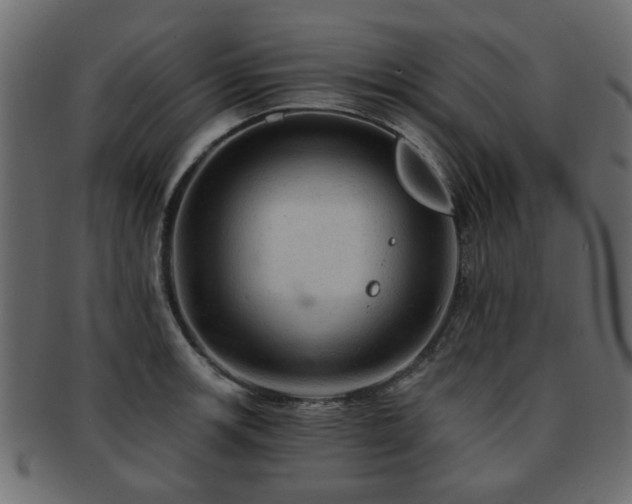 X0000093101139200709261225