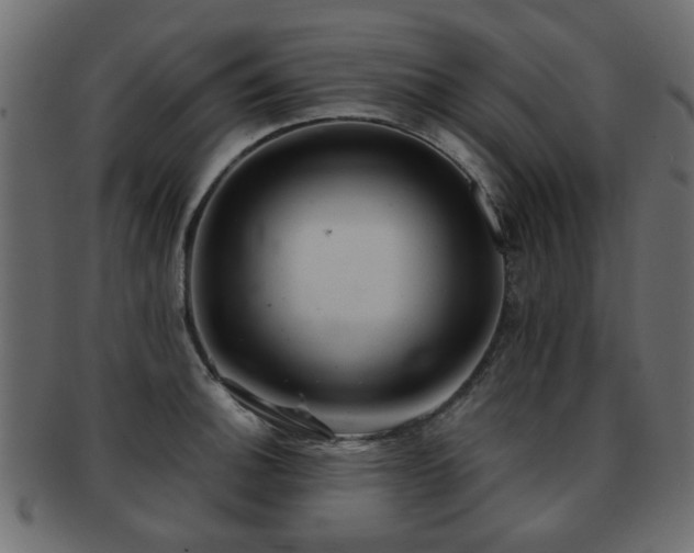 X0000093101140200709261225