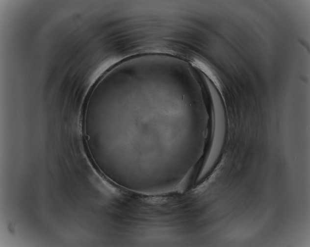 X0000093101141200709261225