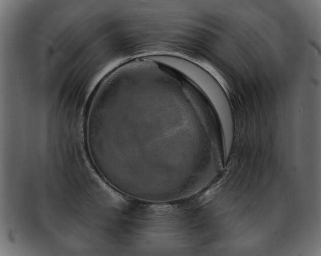 X0000093101142200709261225