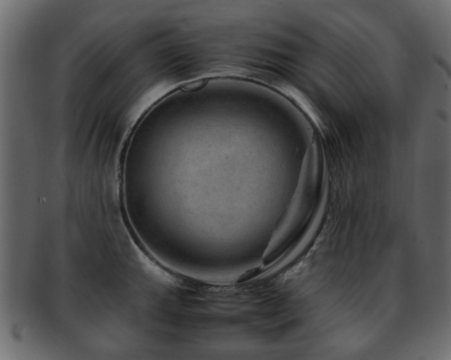 X0000093101143200709261225