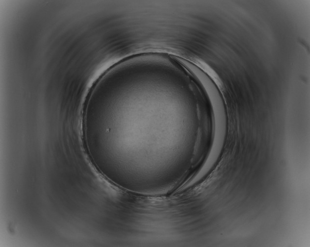 X0000093101144200709261225