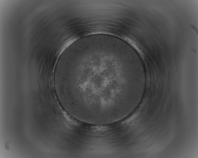 X0000093101145200709261225